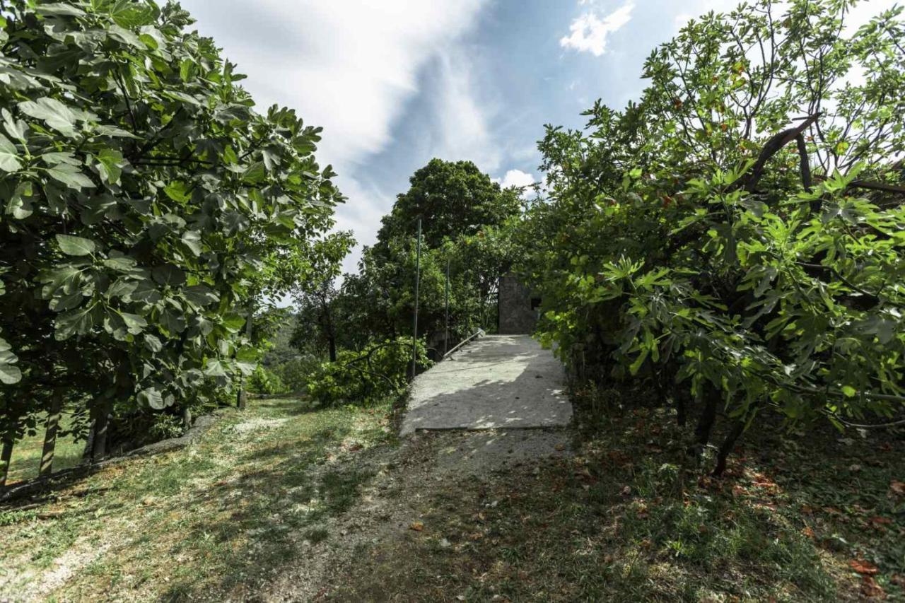 Apartamento Aria Cetinje Exterior foto